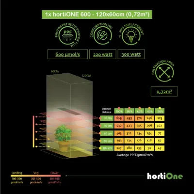 GrowShop Hortione
